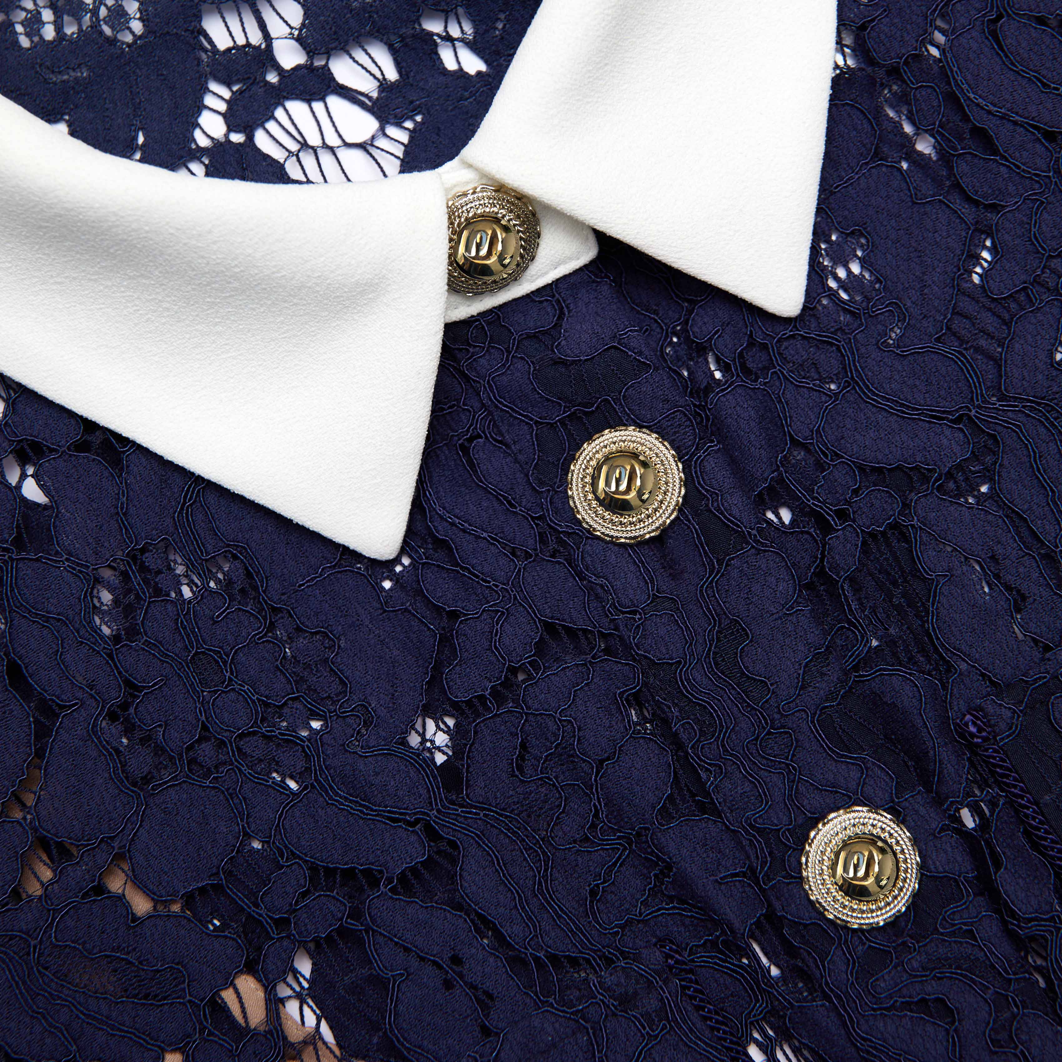 Navy Lace Contrast Collar Midi Dress - Image 5